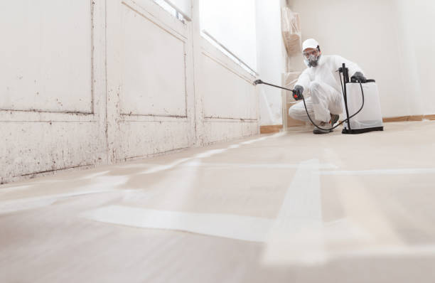 24/7 Emergency Mold Inspection experts in Bartlett, TX
